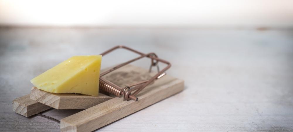 Mouse Trap - Snap Trap with Cheese as Bait